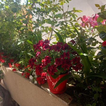 Apartments Gazi Ulcinj Luaran gambar