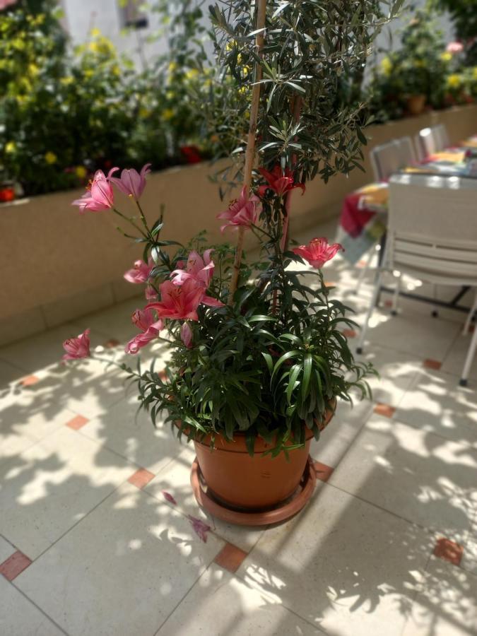 Apartments Gazi Ulcinj Luaran gambar