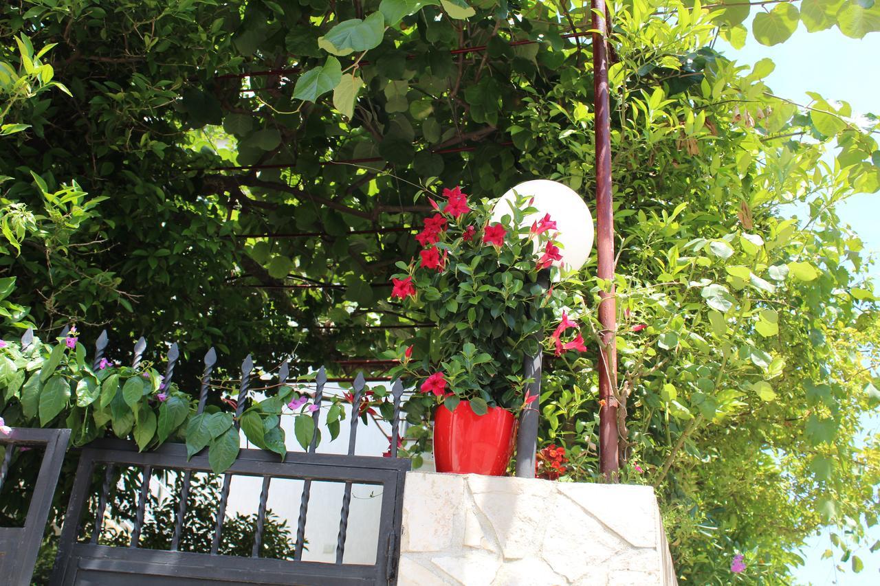 Apartments Gazi Ulcinj Luaran gambar