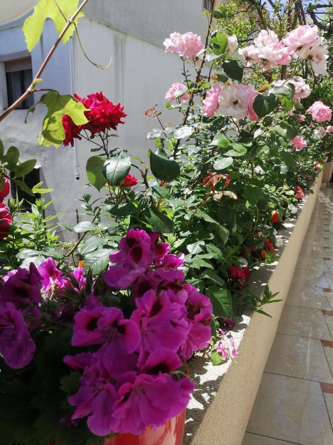 Apartments Gazi Ulcinj Luaran gambar